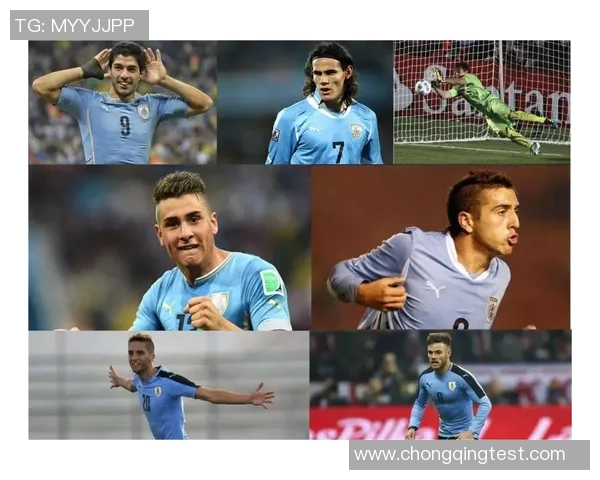 世界杯聚焦：全球盛宴背后的历史传承与未来展望