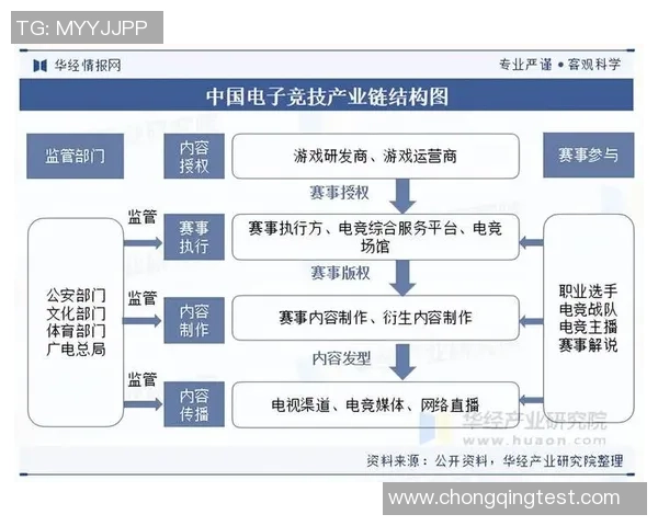全球电竞产业崛起推动数字竞技文化融合与青年创新发展趋势研究