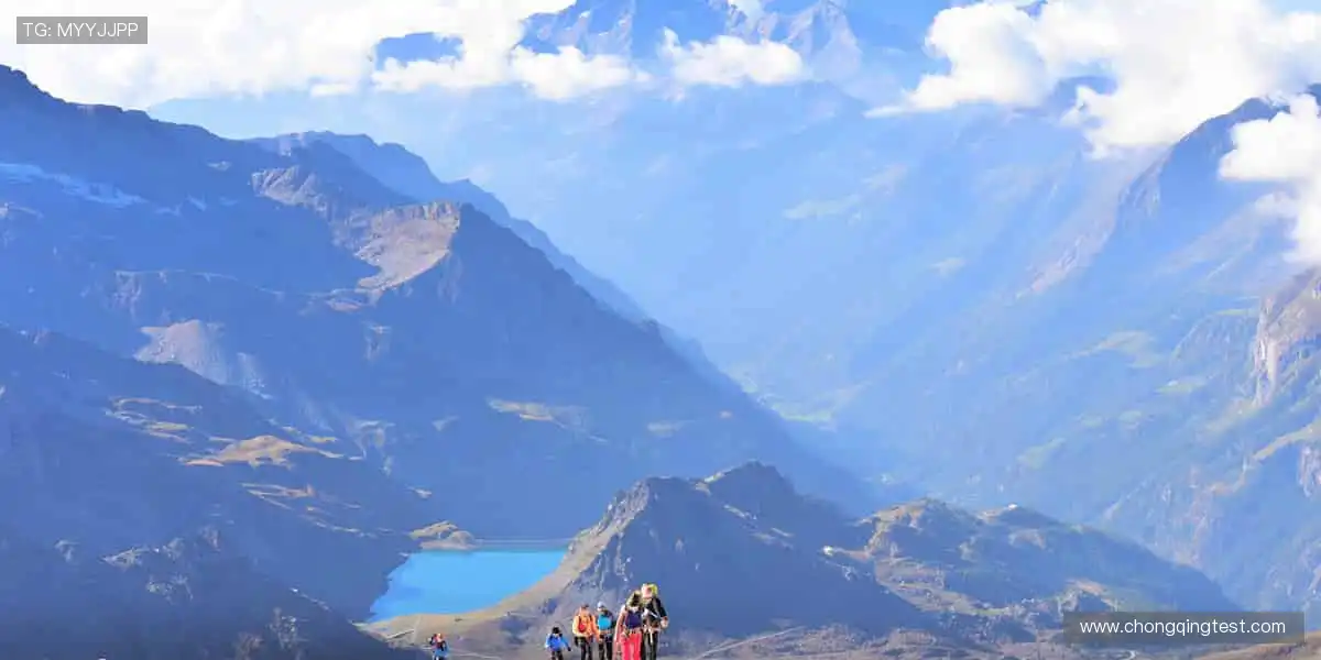 👕球迷专属,限量发售!穿上热爱,为偶像打 call🎁